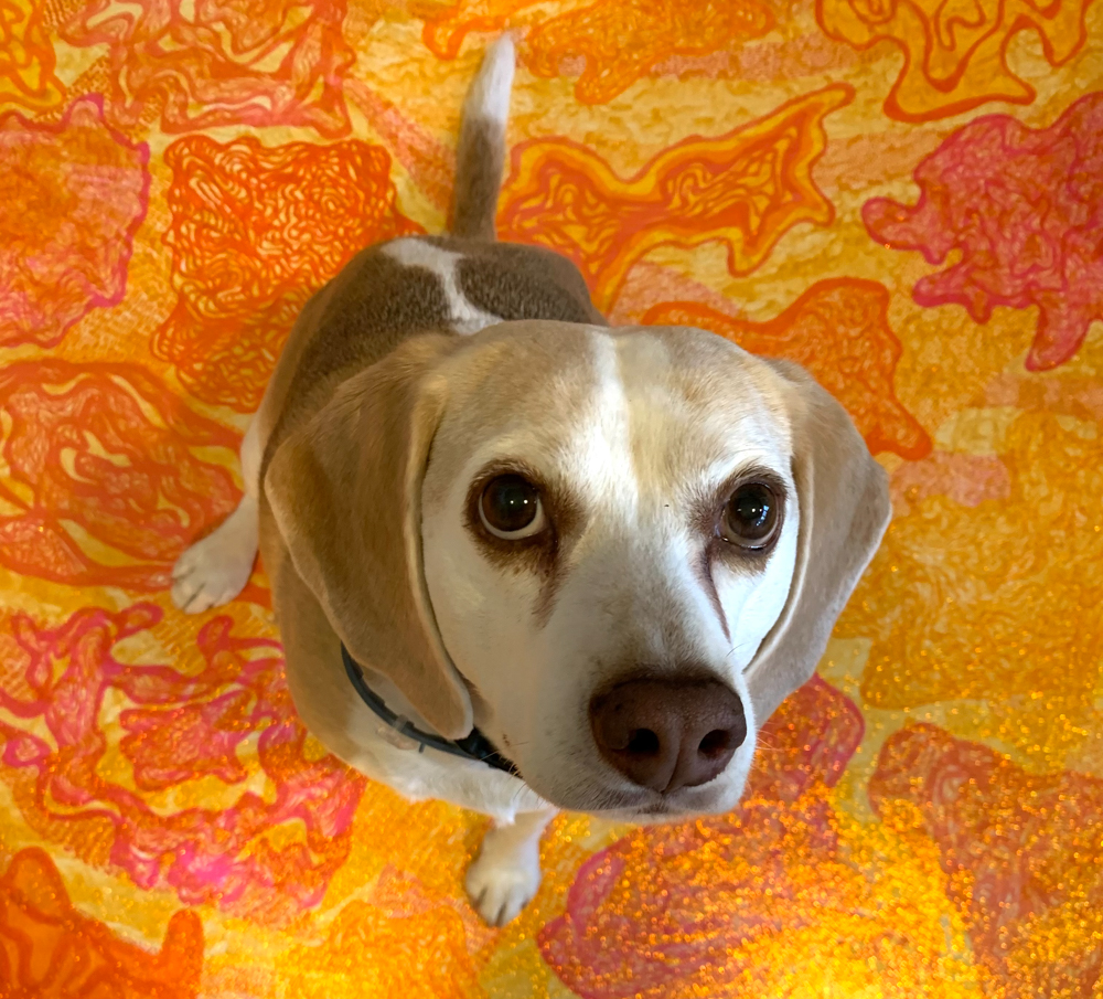 painting with dog