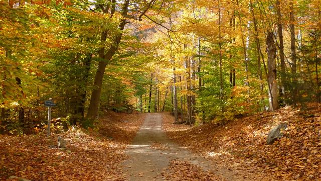 ADK High Peaks Trail