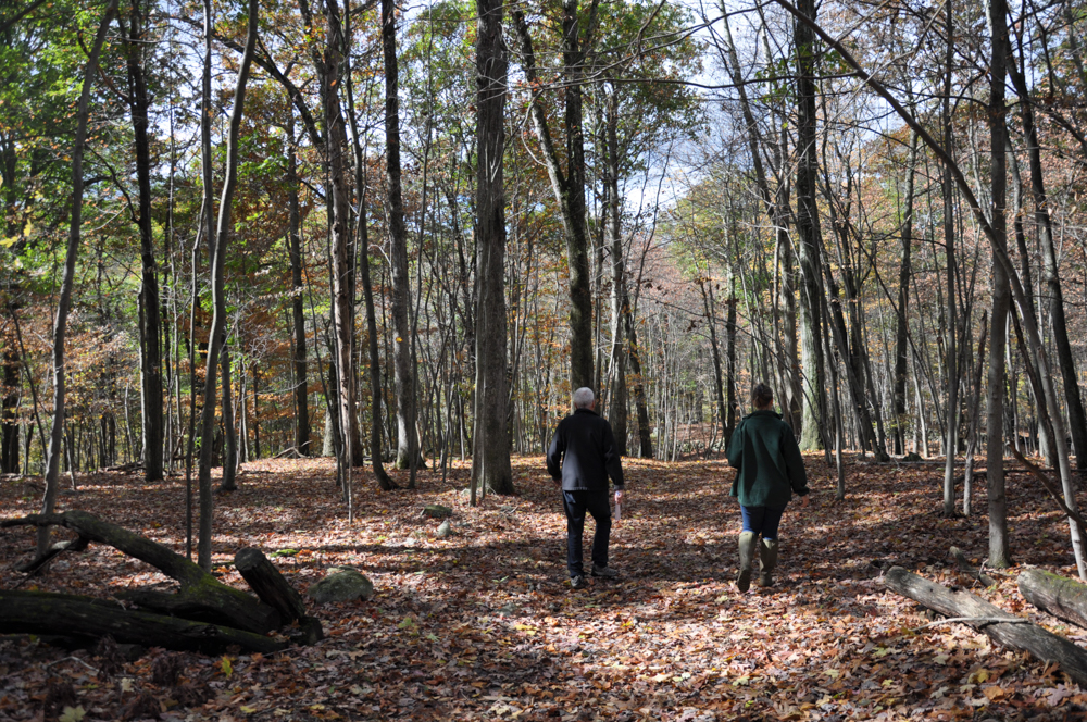 Canopus Hollow Road