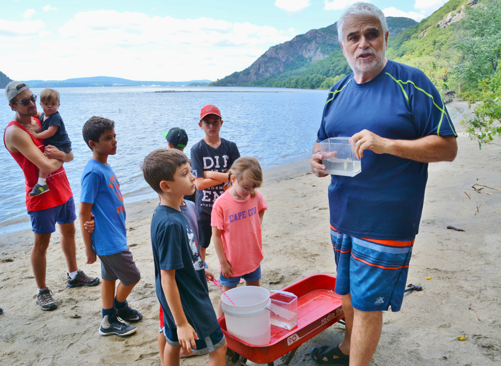 Great Hudson River Estuary Fish Count, July 31