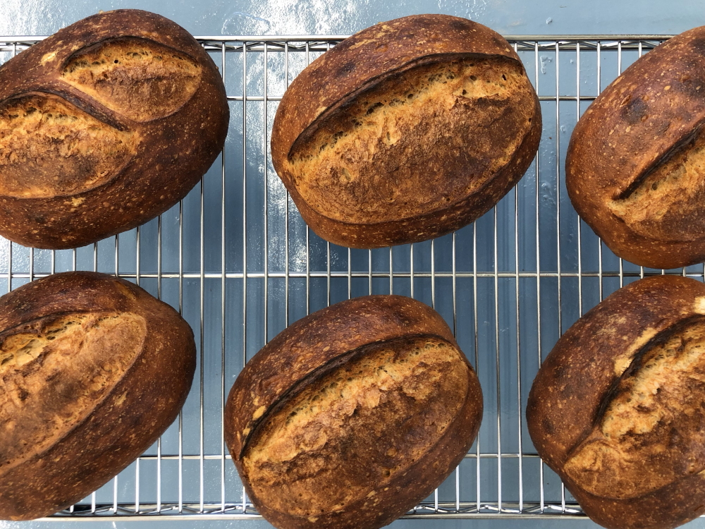 Corn grits loaves