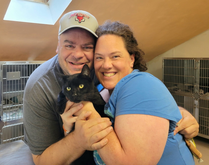 lost cat found