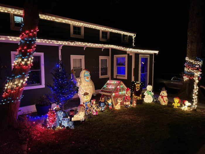 Merriest Christmas Lawn