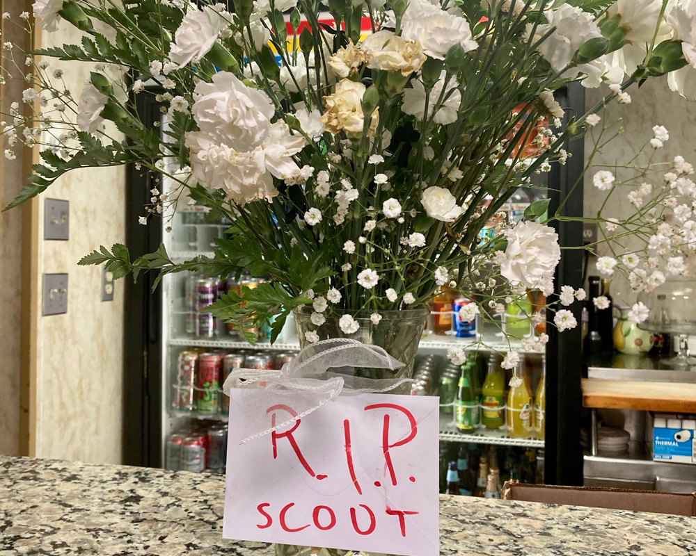 Flowers for Scout at BJs