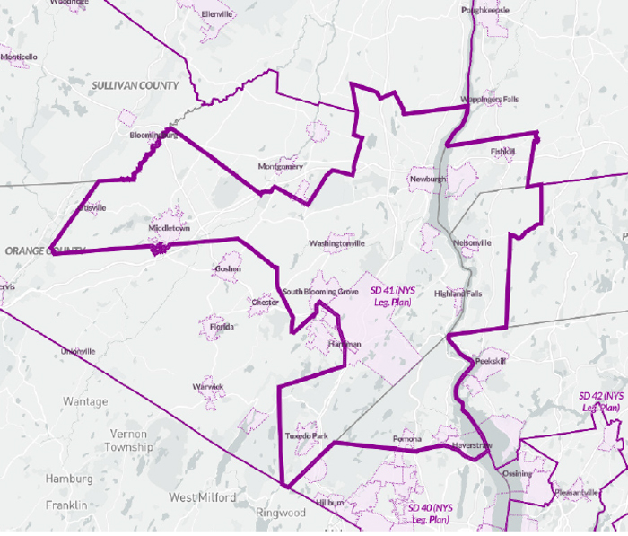 New 41st district state senate