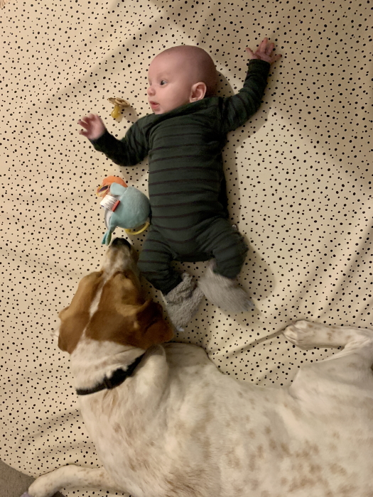 Baby and Dog