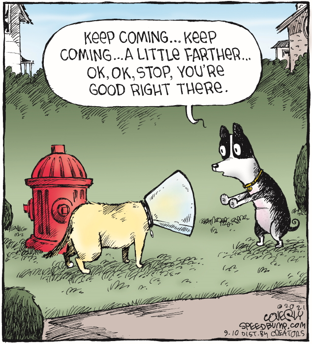 Cartoon