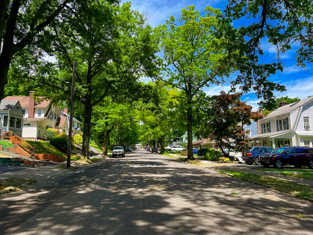 A tree-lined street in Newburgh