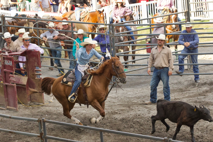 Dutchess County Fair