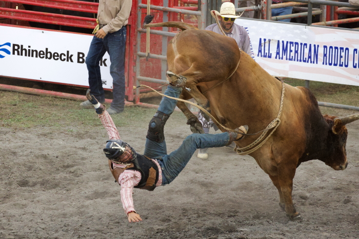 Dutchess County Fair