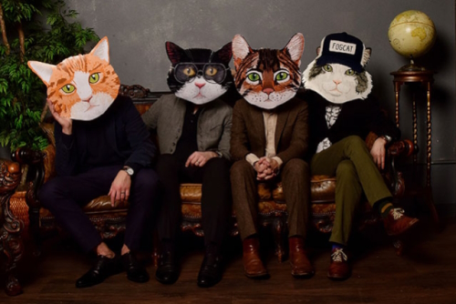Fantastic Cat