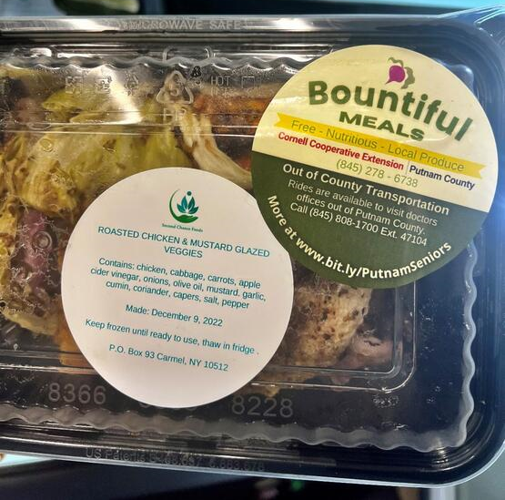 bountiful meals