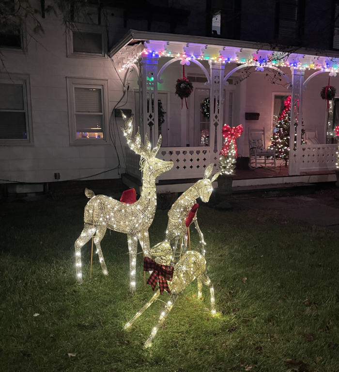 Best Lawn Display