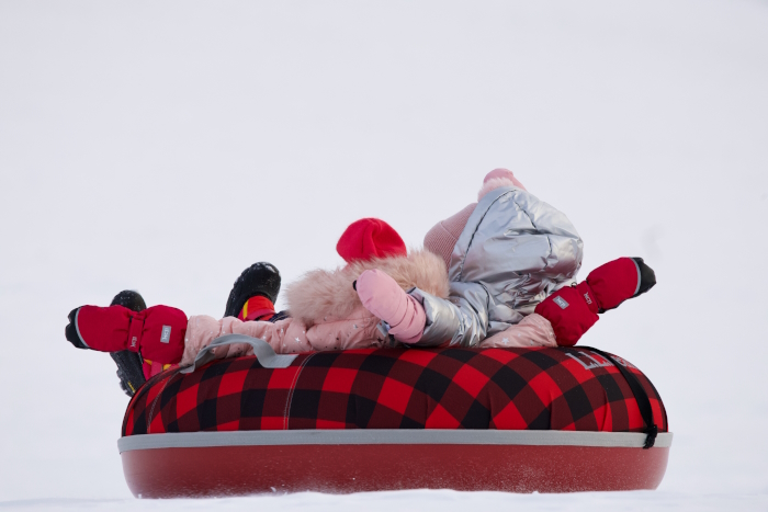 sled
