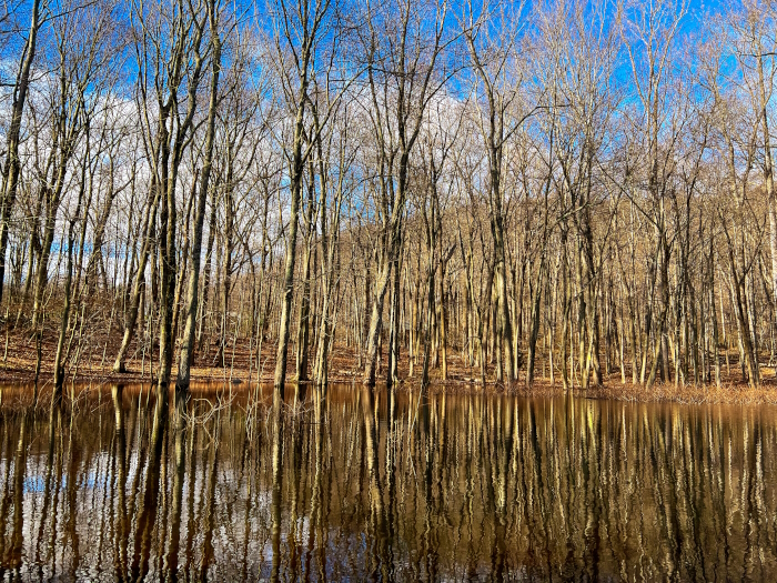 James Pond (Photo by B. Cronin)