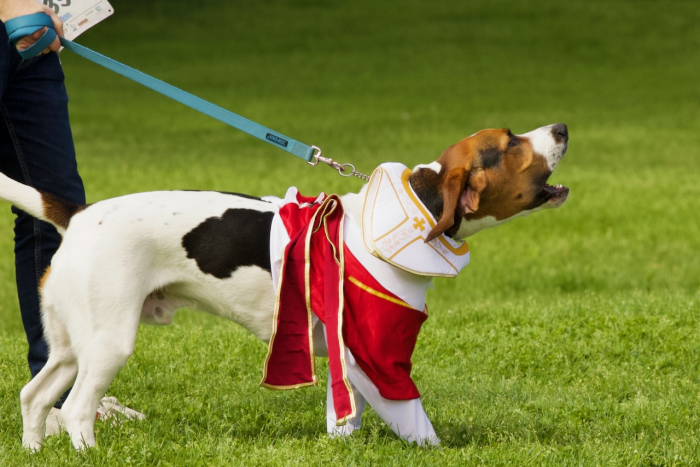 ARF Run