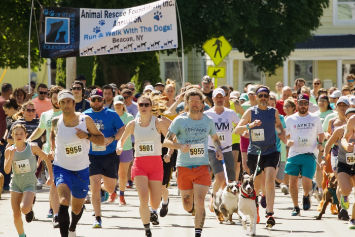 ARF Run