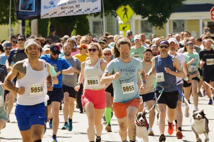 ARF Run