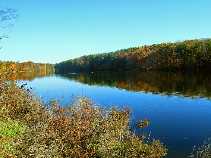 Browns Pond