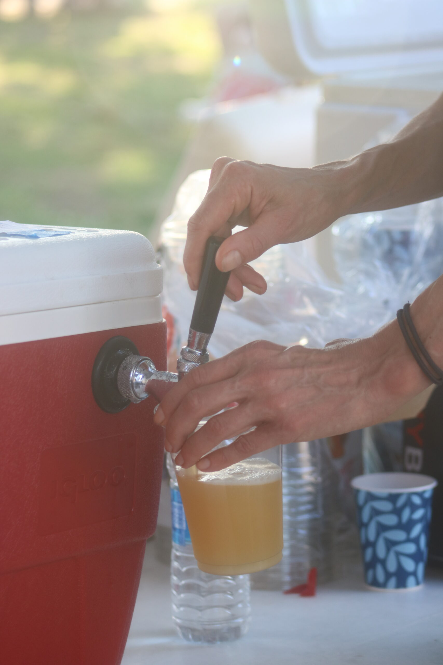 Cold Beer