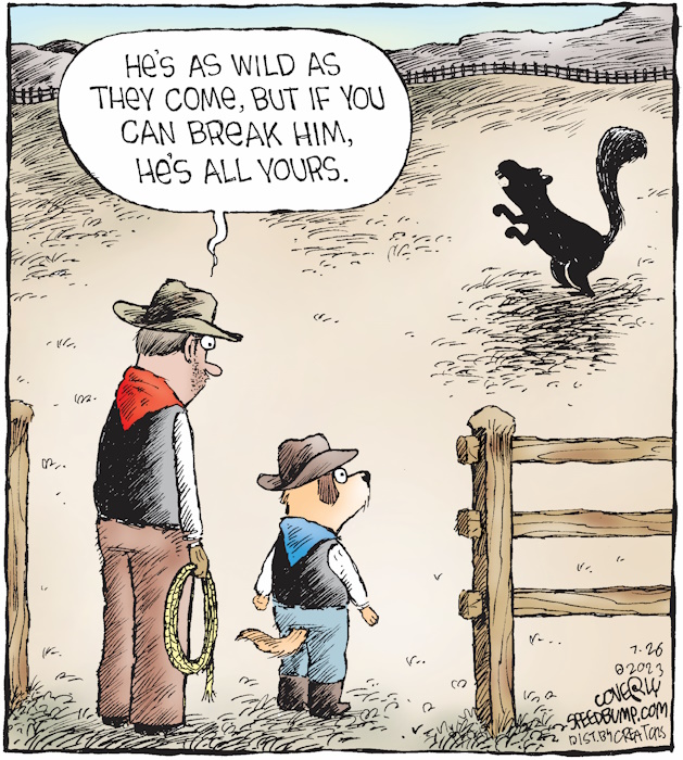 cartoon