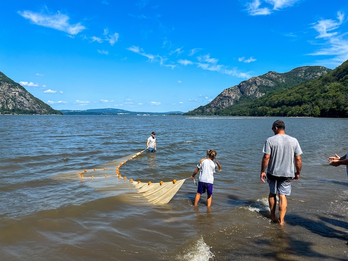 Seining at Little Stony Point in Philipstown