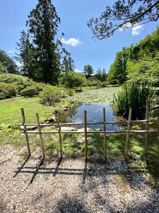 japanese gardens IMG_2599