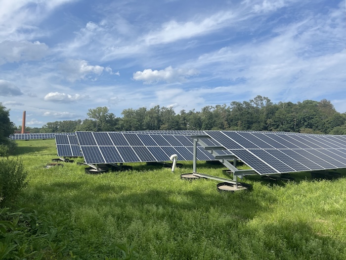beacon solar panels dennings point
