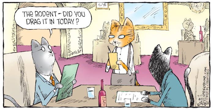 cartoon