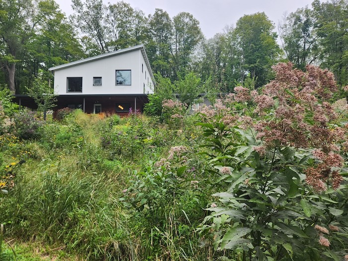 The meadow at Erin Muir's home in Philipstown is beautiful and functional. Photo provided
