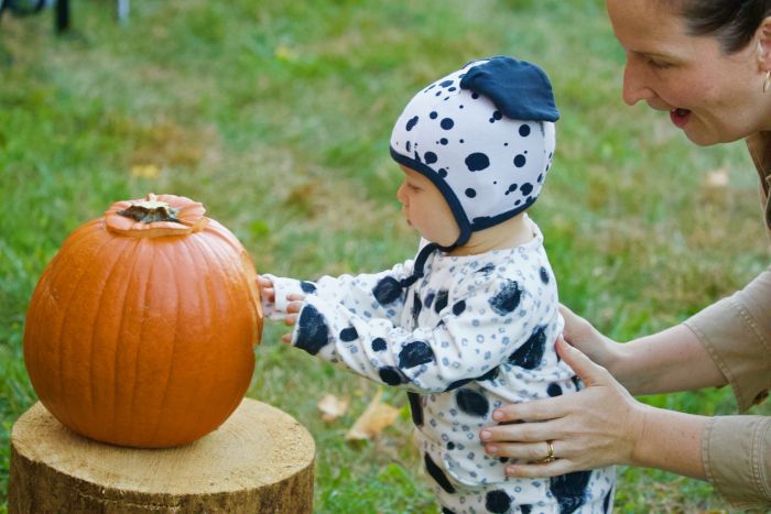 Pumpkin Fest