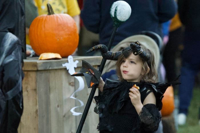 Pumpkin Fest