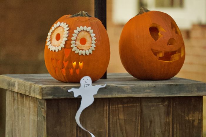 Pumpkin Fest
