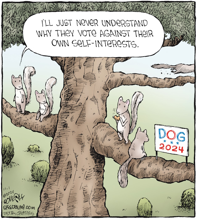 cartoon