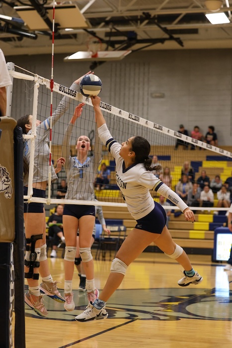 Shilo Reynolds and the Bulldogs reached the finals with a 3-1 home victory.