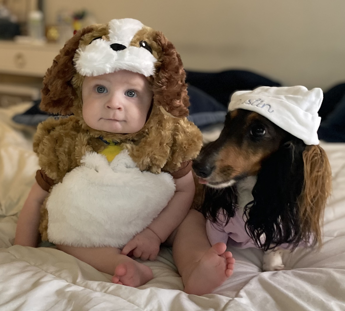 baby dog