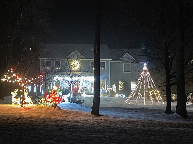 Best lawn display