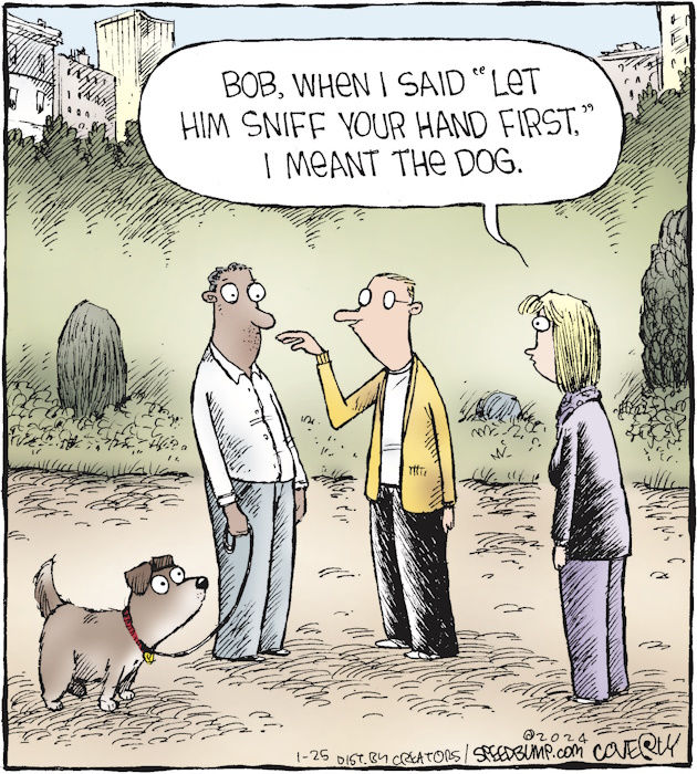 cartoon