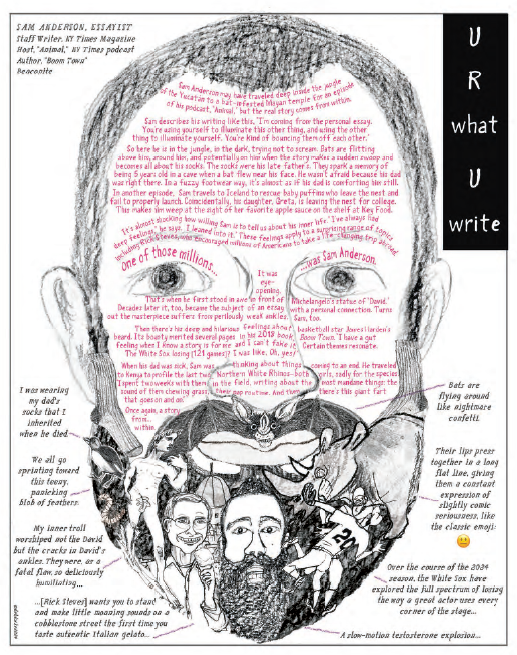 Sam Anderson comic