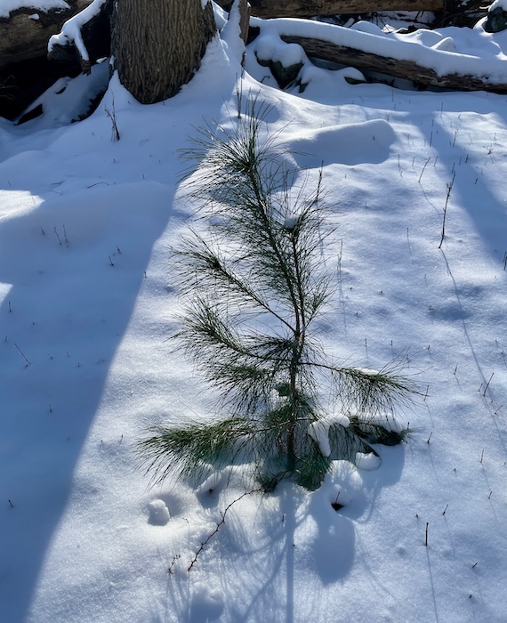 Find your place of refuge in a natural environment. Photo by P. Doan 