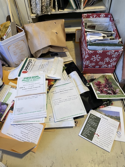 Sort seed packets and get ready for the growing season by testing germination rates. Photo by P. Doan