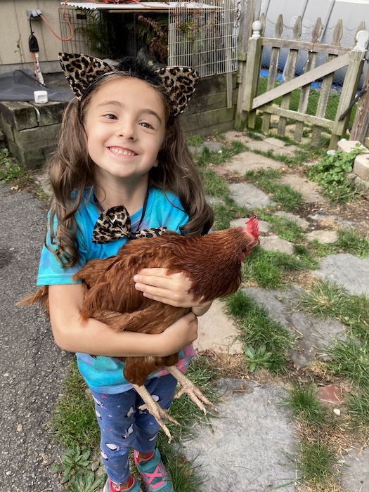 Madelein Devin of Beacon became a “chicken wrangler” after meeting The Mayor.