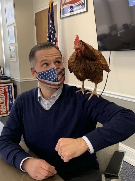 In 2021, then-Dutchess County Executive Marc Molinaro named The Mayor thecounty’s Poultry Laureate.