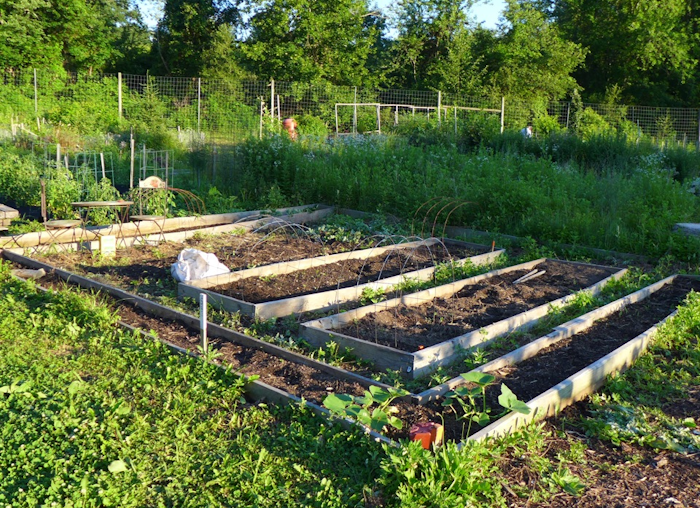 Putnam garden plot