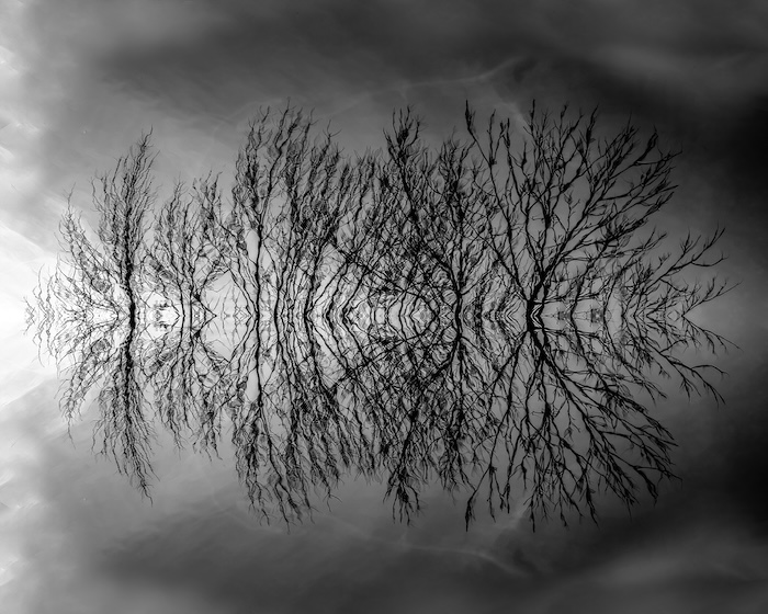 Harbinger