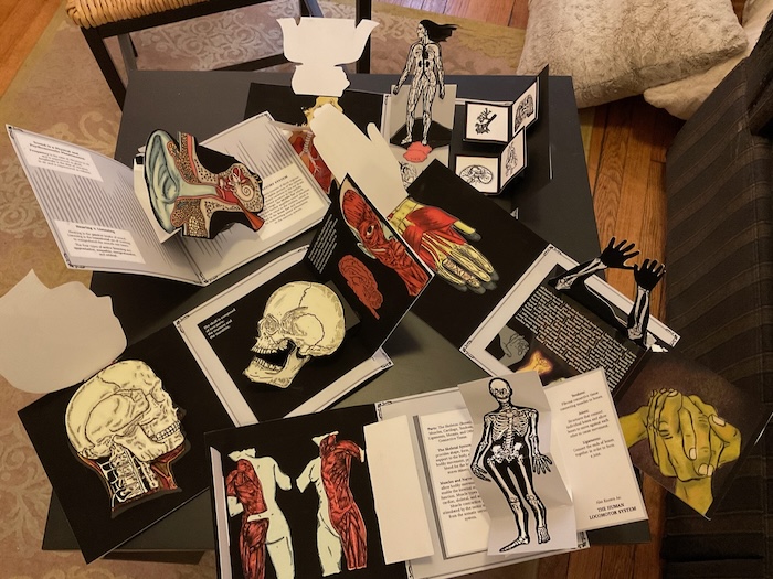 Sample spreads from My Anatomical Journal, by Marianne Petit