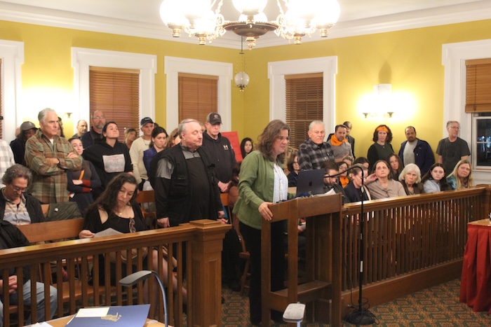 Nancy Montgomery, who represents Philipstown on the Putnam County Legislature, addresses her colleagues. Photo by L. Sparks