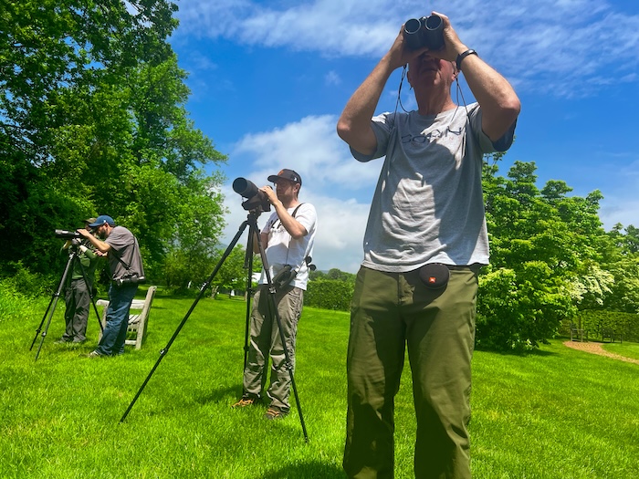 From left, Steve Rappaport, Anthony Macchiarola, Kyle Bardwell and Michael Curtis search for birds at Boscobel on May 17. Photo by B. Cronin