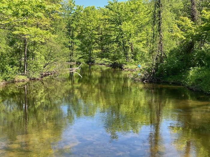 Clove Creek bisects the former Automar property on Route 9. Photo by L. Sparks