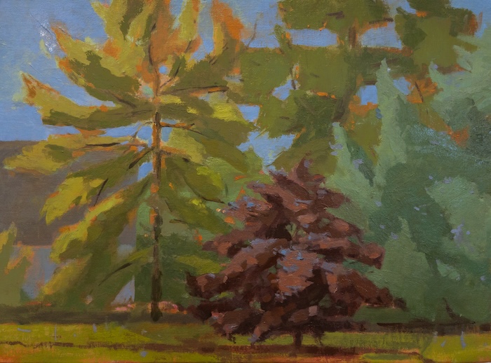 Lisa Diebboll, Tree Figures, 2025, oil on linen, 16 x 22 inches